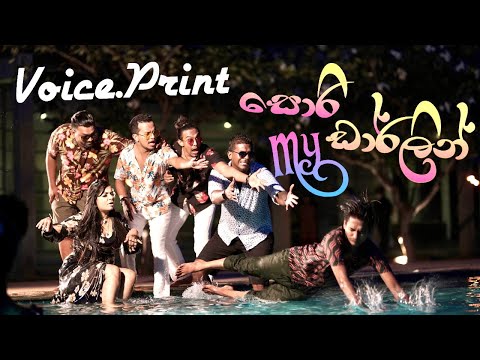 Sorry My Darling සොරි මයි ඩාර්ලින් - Voice Print (Music Video)