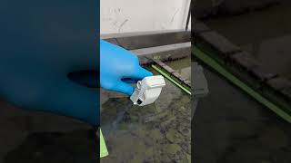Hydro Dipping BMW #satisfying #hydrodippung