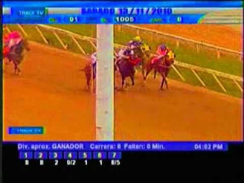 Resumen Sábado 13 de noviembre 2010 - La Rinconada