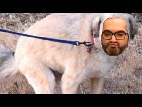 A Message From Ron Toye, The Sheep Dog, to Vic Mignogna Supporters