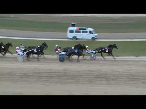 2017.11.11. 7. futam - CSANTAVÉRI DÍJ - KŐMÍVES FERENC EMLÉKVERSENY