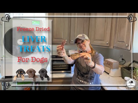 YouTube video about: Are freeze dried liver treats bad for dogs?
