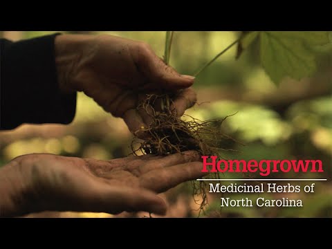 Homegrown | Growing Medicinal Plants in the Home Garden