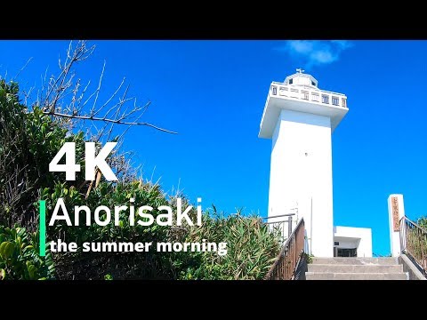 [4K] Driving to the Anorisaki Lighthouse - 安乗埼灯台までの道