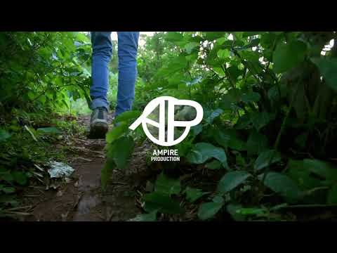 Teaser ZELKO - Regret