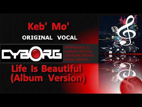 Videoclip de Life Is Beautiful (Album Version) — Keb' Mo'
