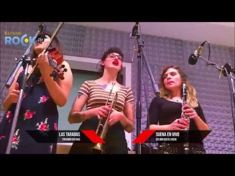 Las Taradas - Bei mir bistu shein - Versión Acústica en No Tan Distintos