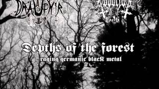 Draupnir - Leere (Burzum tribute)