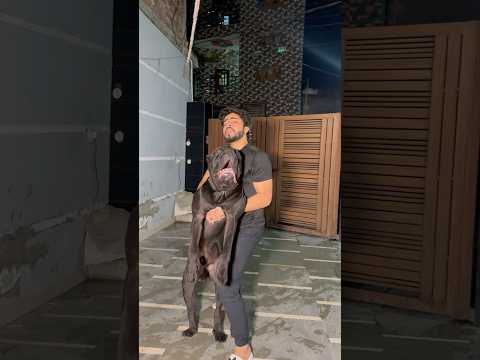 Chilled hot dog 😂 #albadi #comedy #albadivlogs #comedyfilms #funny #fun