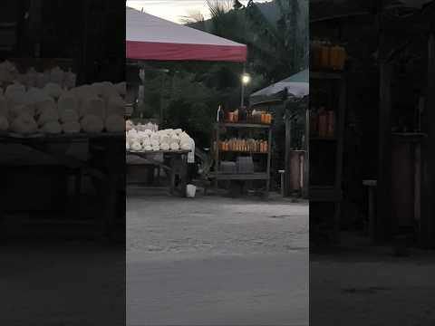 Br 101 BA - Buerarema - 3/2/26