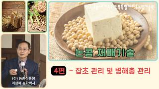 [논콩재배 4강] "올해 콩 농사 망치기 싫다면? '잡초 및 병해충 관리'  #논콩 #콩농사 #전북특별자치도…