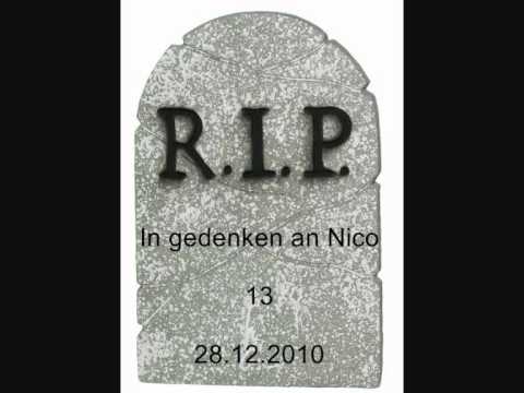 Nico R.I.P. 28.12.2010