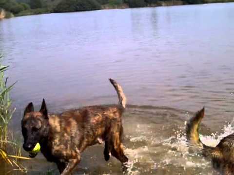 Zwemmen in Vlagtwedde