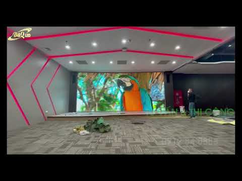 Video dự án