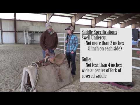 Saddle Bronc Riding 101- Equipment