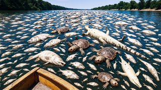 U.S Released Something That Kills All Animals In California's Rivers—It’s x100 Worse Than Asian Carp