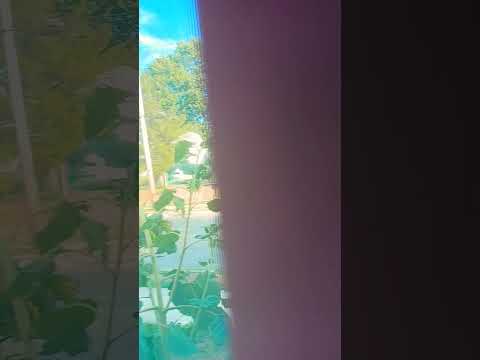 11 de agosto de 2022