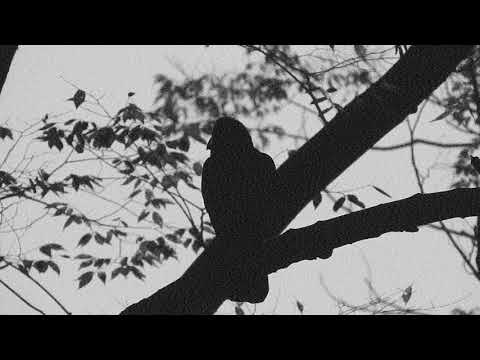 Video thumbnail for błędny rycerz