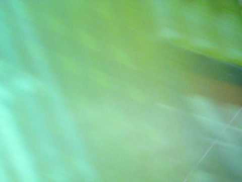 Galácticos x Sem Família