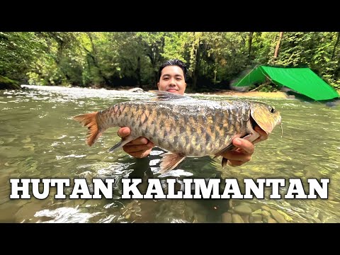 Camping Hujan deras 1 Minggu di Hutan Kalimantan Bertahan hidup cuaca buruk Fishing Camp Bushcraft