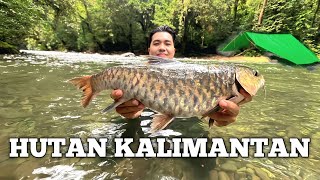 Download lagu Camping Hujan deras 1 Minggu di Hutan Kalimantan Bertahan hidup cuaca buruk Fishing Camp Bushcraft mp3