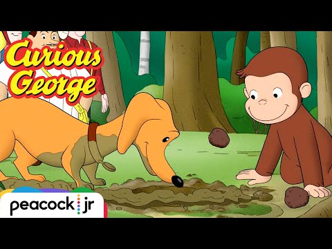 George Thăm Dò Trong Rừng | CURIOUS GEORGE (George Forages in the Forest | CURIOUS GEORGE)
