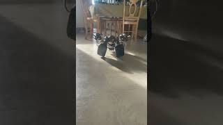 Download lagu Robosapien v2 getting up mp3