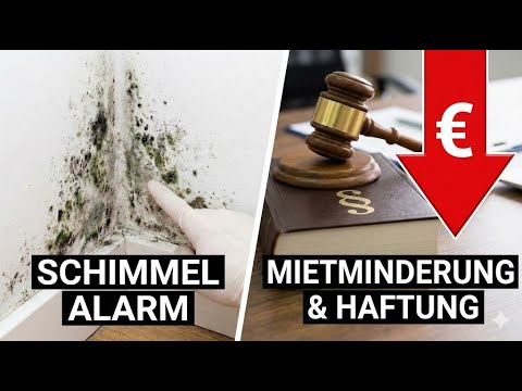 Schimmel in der Wohnung: Wer haftet und wie hoch mindern? (§ 536 BGB)