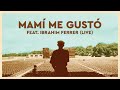 Buena Vista Social Club - Mamí Me Gustó (feat. Ibrahim Ferrer) [Official Live Audio]