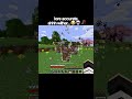 Lore Accurate Ahhh Wither