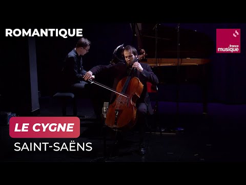 Camille Saint-Saëns : Le Cygne (Carnaval des animaux)