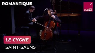 Camille Saint-Saëns : Le Cygne (Carnaval des animaux)