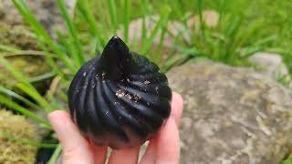 Dárek k nákupu nad 2.500,- "Šungitový strážce domova" - ochranný orgonit se šungitem