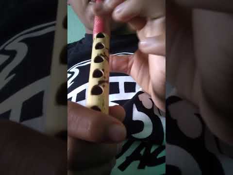 la mulita del torito de romita gto