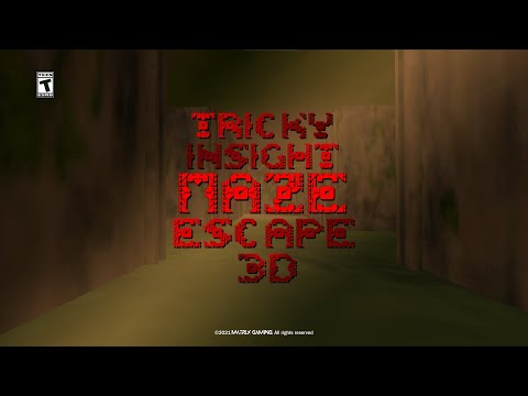 Tricky Insight Maze Escape 3D