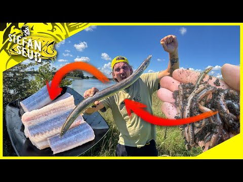 The BEST eel catch of my LIFE | BITE after BITE - No one will believe it!! | Eel in a stone pack