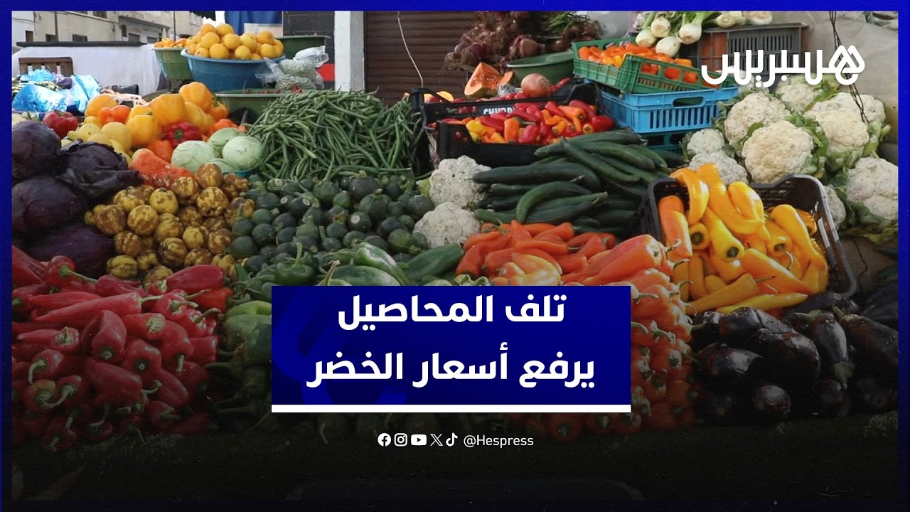 تلف المحاصيل جراء الفيضانات يرفع أسعار الخضر في الأسواق thumbnail