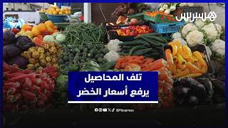 تلف المحاصيل جراء الفيضانات يرفع أسعار الخضر في الأسواق thumbnail