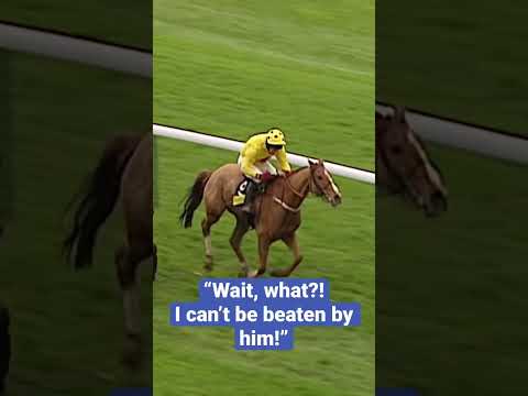 THE CRAZIEST RACE FINISH EVER? 🤣 #horseracing #animals #animalshorts #horse #horses #horseshorts