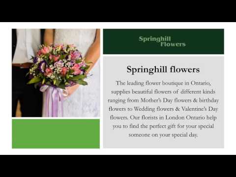 Videos from Springhill Flowers