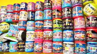 ASMR 55 Surprise Mashems Fashems Squishy Mystery Toys unboxing