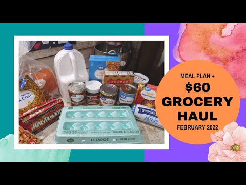 $60 Walmart Grocery Haul & Meal Plan | February 2022