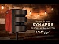 LR Baggs Synapse | Personal PA System