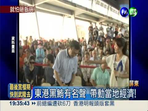 怕漁民冒險捕魚 屏東停辦黑鮪季?