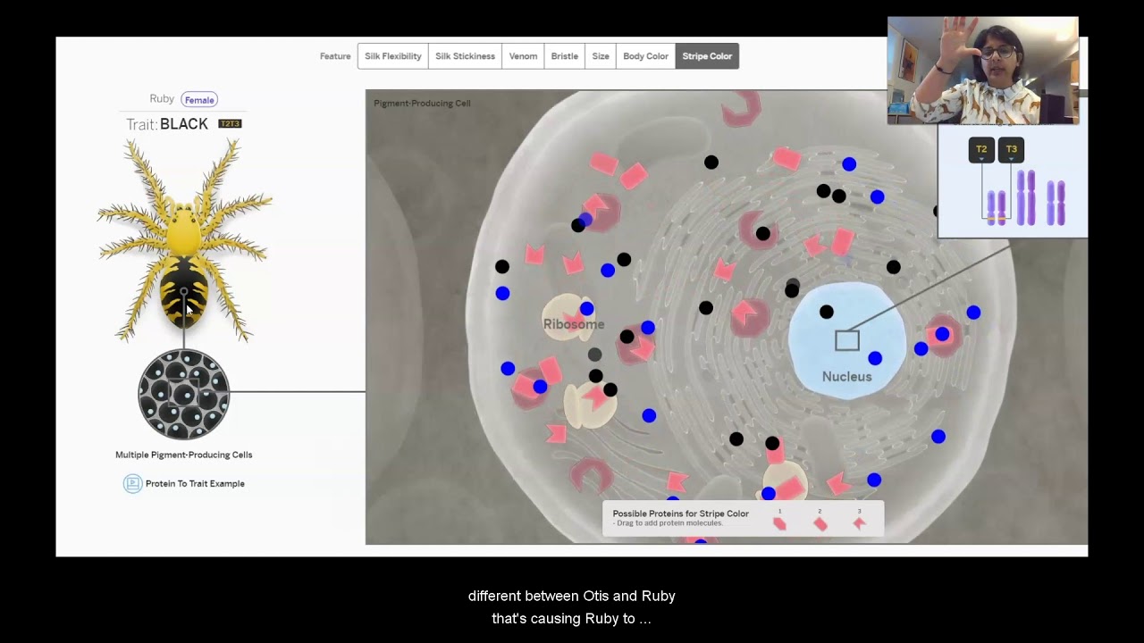 Science, Grade 8, 4/21, Natural Selection