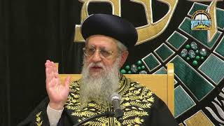 איך משערים 'זכר למחצית השקל'-תנודות מחיר הכסף שנת תשפ"ו I מרן הראשון לציון הגאון רבי דוד יוסף שליט"א (מוסדות יחווה דעת) - התמונה מוצגת ישירות מתוך אתר האינטרנט יוטיוב. זכויות היוצרים בתמונה שייכות ליוצרה. קישור קרדיט למקור התוכן נמצא בתוך דף הסרטון