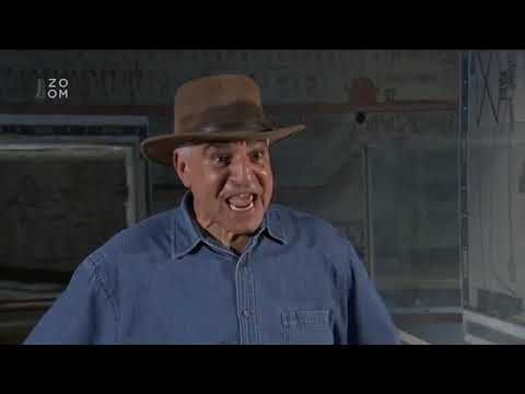 Zahada kralovniny mumie   Nefertiti