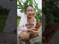 Misfish Challenge You Short