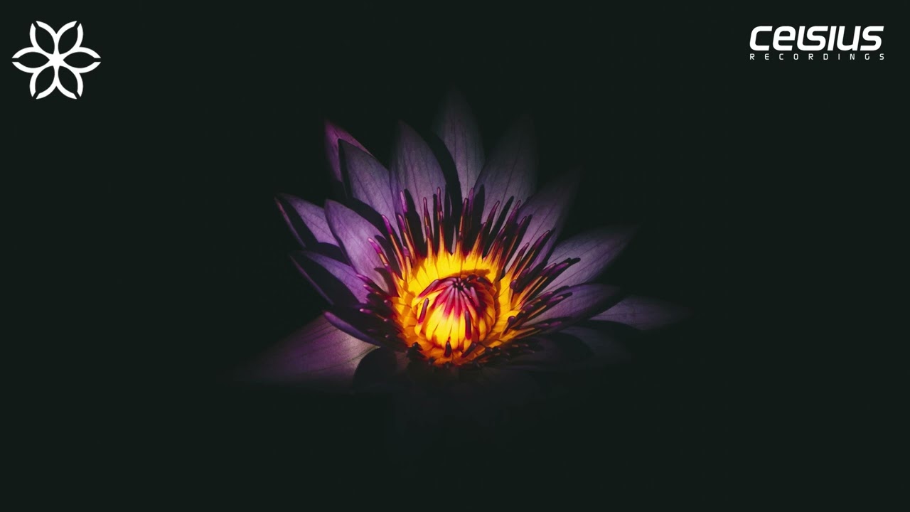 Larigold - Quick Luck Dub