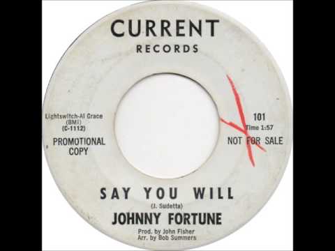 Johnny Fortune - Say You Will
